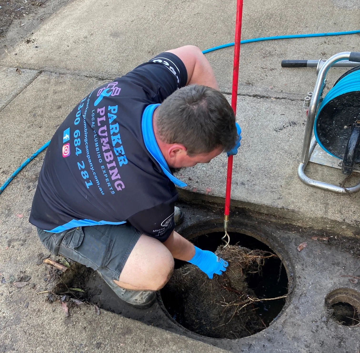 201662826_2336325849833677_523479890966862307_n