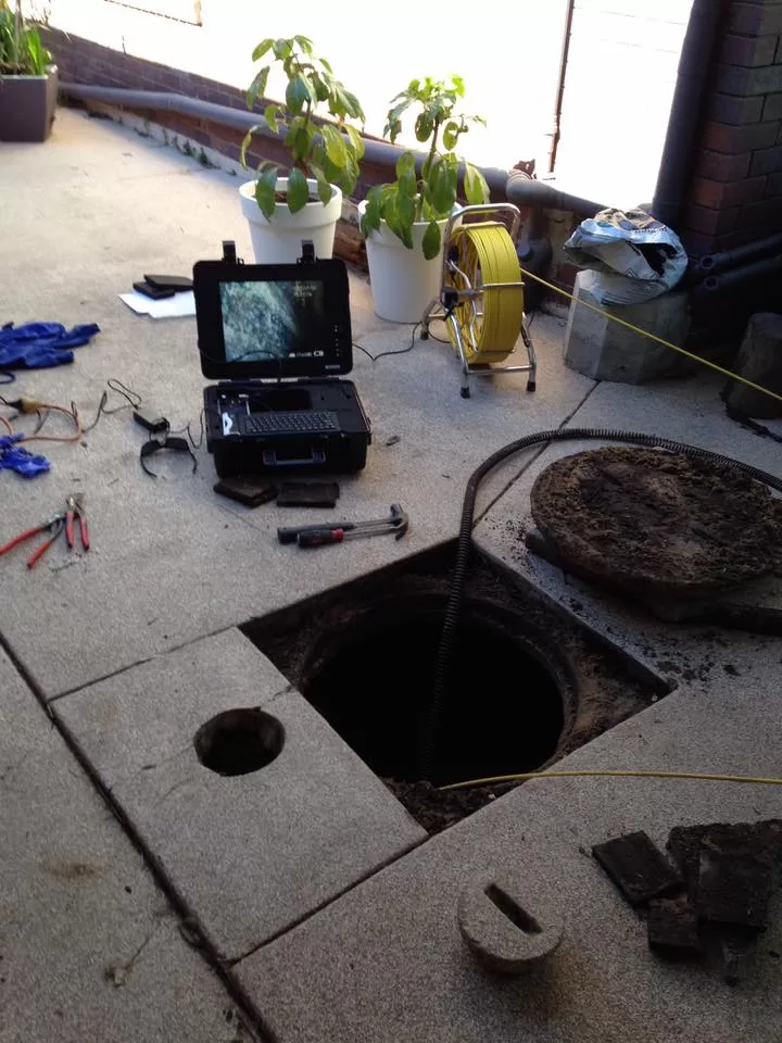 20245393_1117340261732248_7232807430285442438_n