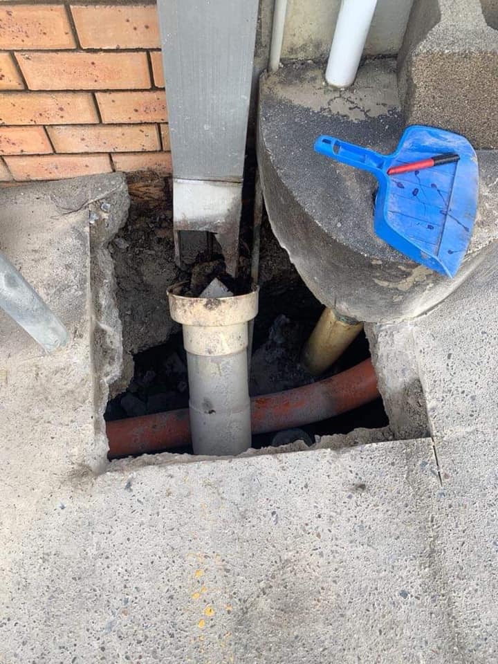 61202890_1587987421334194_6079610221343277056_n